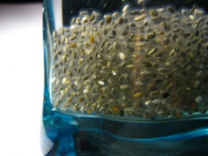 chia-seeds-in-a-glass-3-1318190-640x480