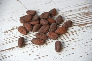 cocoa-bean-1282894_640