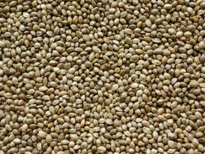 hemp-seed-texture-1625183-638x479